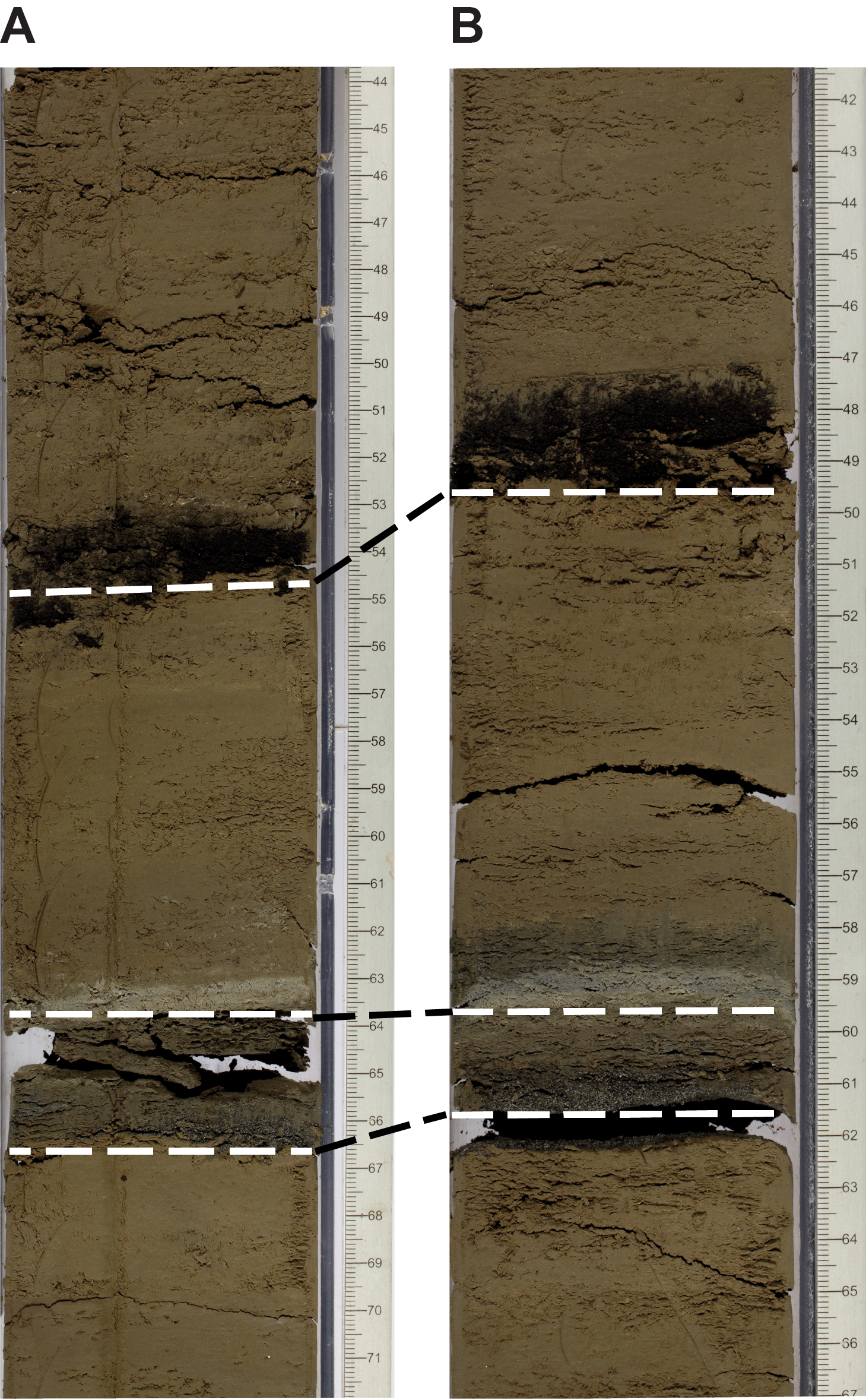 http://publications.iodp.org/proceedings/385/103/figures/385_103_F14.png